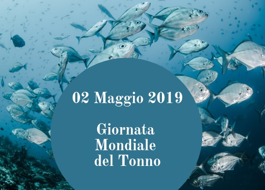 giornata mondiale tonno.jpg